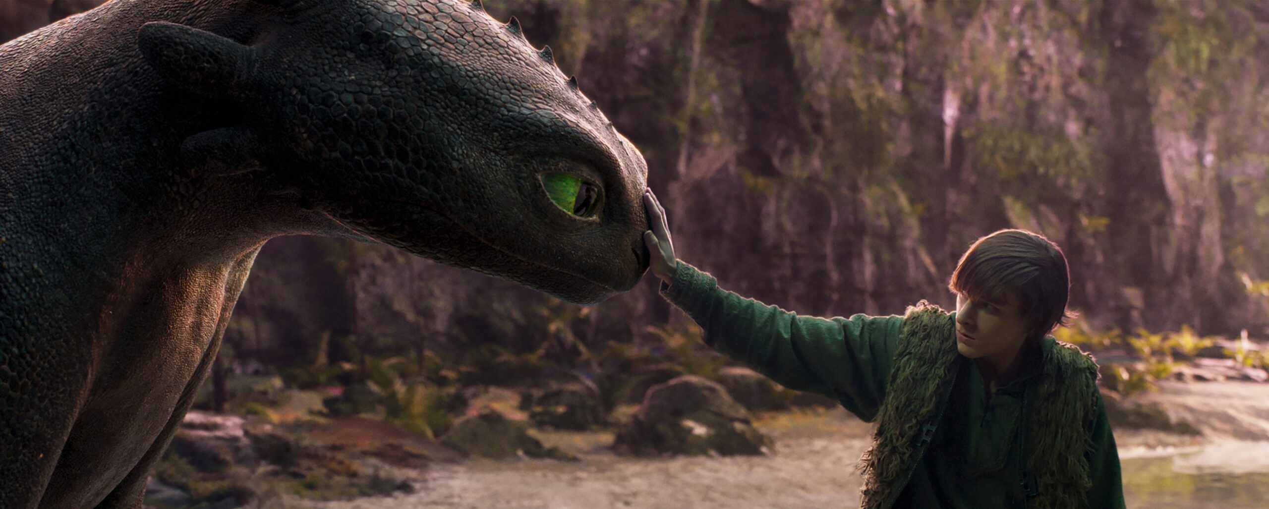 Live Action Hiccup & Toothless