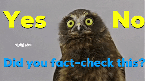 An owl swaying its head back and forth between the words yes and no. Below it is the question "Did you fact-check this?"